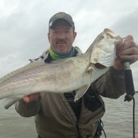 Timothy Strickland