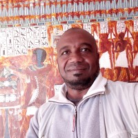 Muhammad Hamdi Rabiea Gomaa