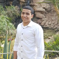 Botros Samir