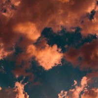حمود الحربي