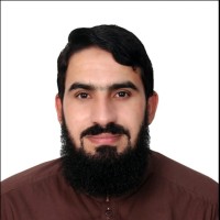 Sher Wali