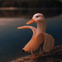 刘顺意