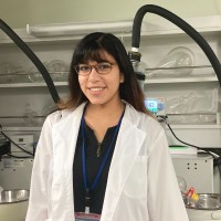 Stephanie Hernandez, Ph.D.