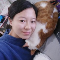 汤红丽