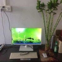黄侠扬