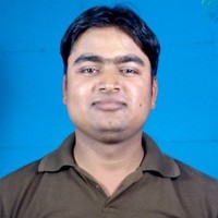 Pratap Roy