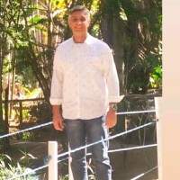 Alexander Bernardes