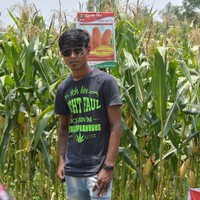 RK BABU