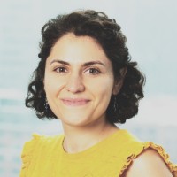 Telli Davoodi