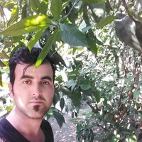 Saeed Agajani