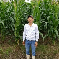 Romeo Vidal