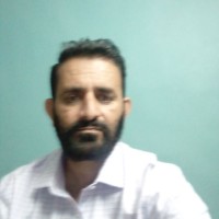 M Umar Malik Umar Malik
