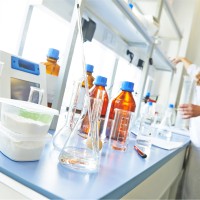 Dr.ssa Luana Mezzullo