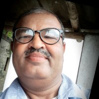 Raman Jee Roy