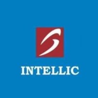 INTELLIC SYSTEMS