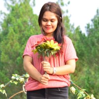 Mega Sirait