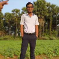 Vamsi krishna pathivada