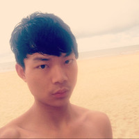 张向阳