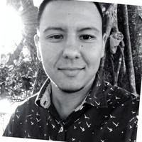 Dominick Petitto MS NCC LPC