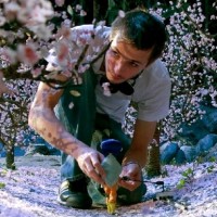 Chris Tootell
