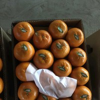 Fresh Co