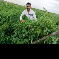 Tejpal Birla