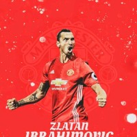 The King Zlatan Palmy
