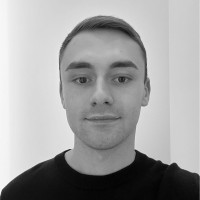 Vlad Avornic
