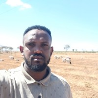 Ashenafi Zewdu
