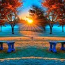Avdhesh. Thakur