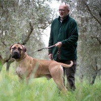 Stefano Licata