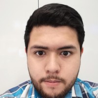 Aldo Alejandro Gonzalez Palomino