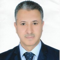 Mounir NSIBI