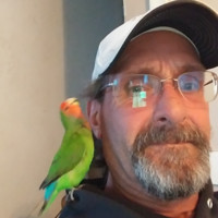 Bob Paulson