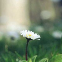 孙超群