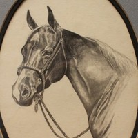 Jo Ann C.