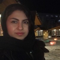 negin amani