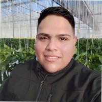 Filiberto Flores