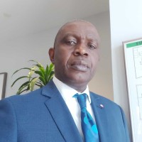 Emeka Omunizua (PMP,  PSM, IIBA-AAC, IFC, MBA,)