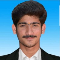 Vishnu P U