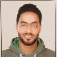 Mohamed Mahmoud mostafa