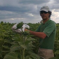 Ricardo Maroni