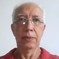 Nelson Borges