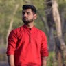 Animesh Bhaduria