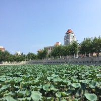 李润泽