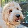 Winston Teddy