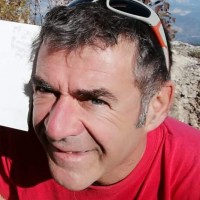 Andrea Avi