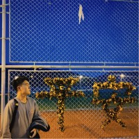 张达森