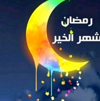 سعيد اليافعي
