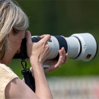 Hanneke Fleuren